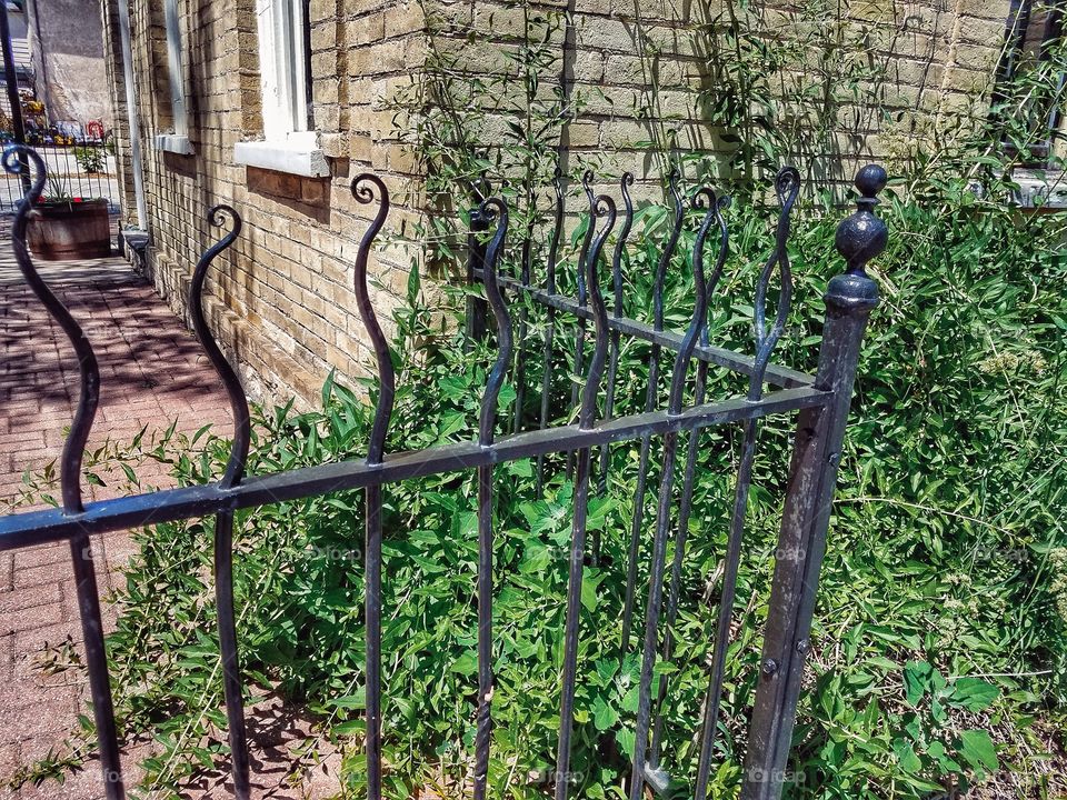 Wrought Iron Fence