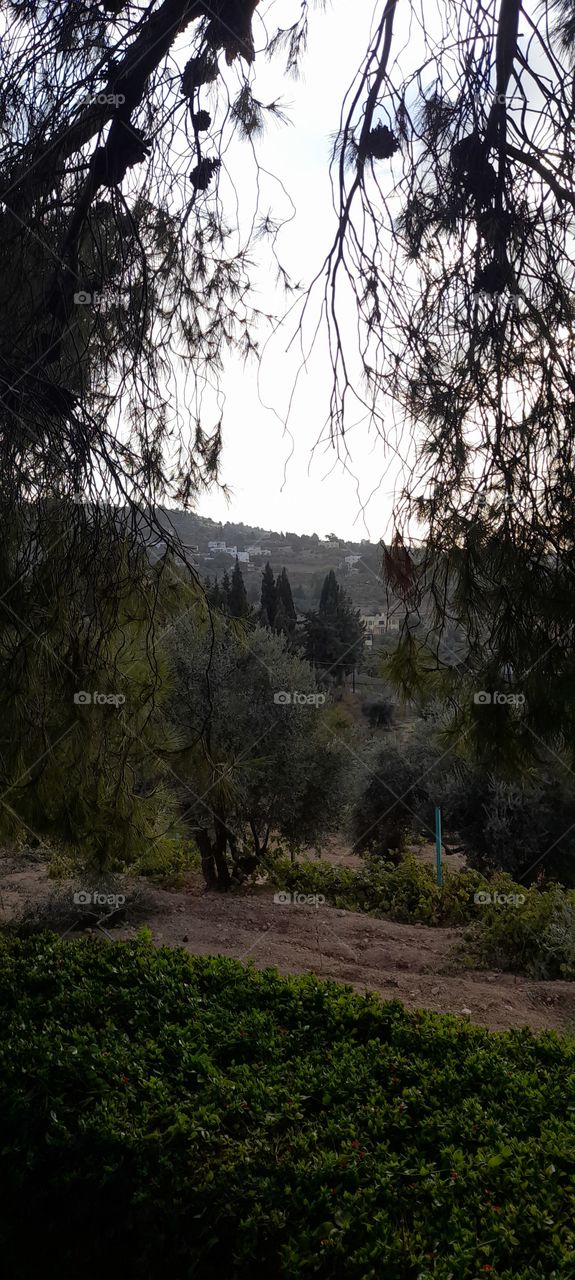 beautiful place in Jordan 🇯🇴