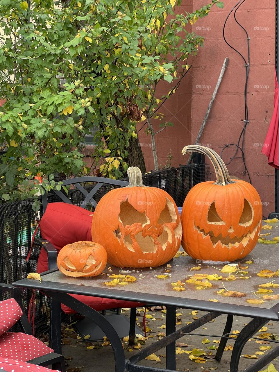 Halloween pumpkins decorations garden 