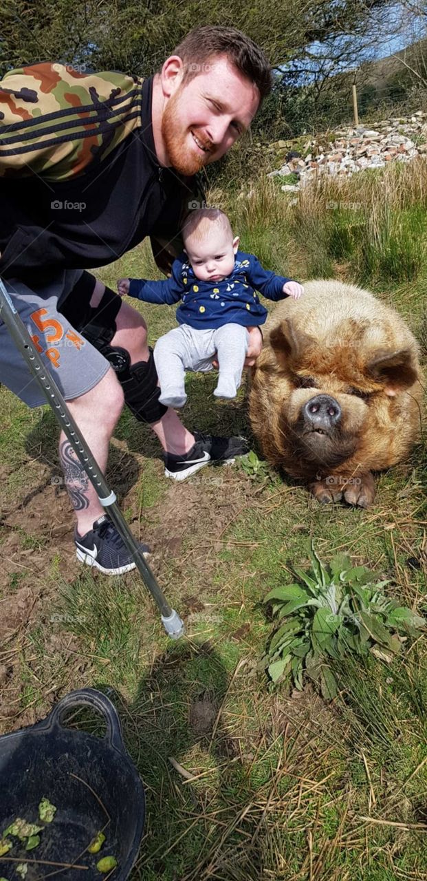 baby with big pig