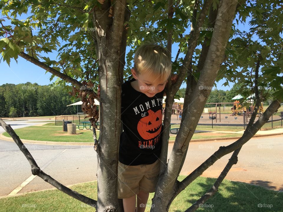 Brace tree climber 