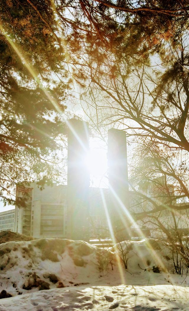sunbeams