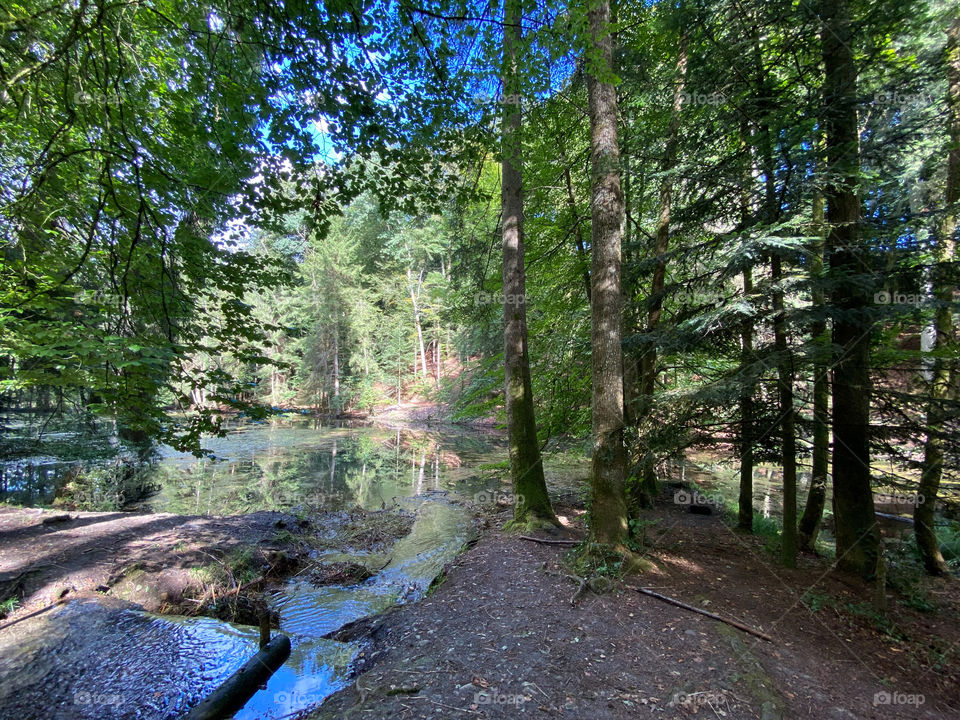 Steibachweiher 