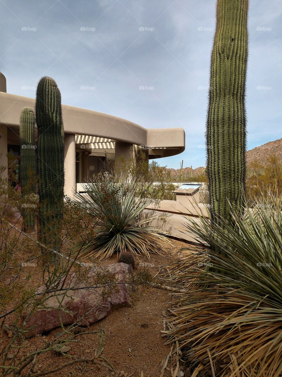 Saguaro National Park Visitor Center