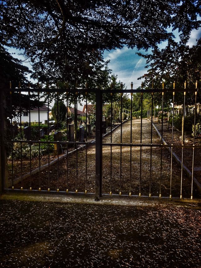 Grille cimetière 