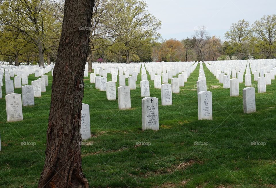 Rows of white marble headstones at Arlington Cemetery.
