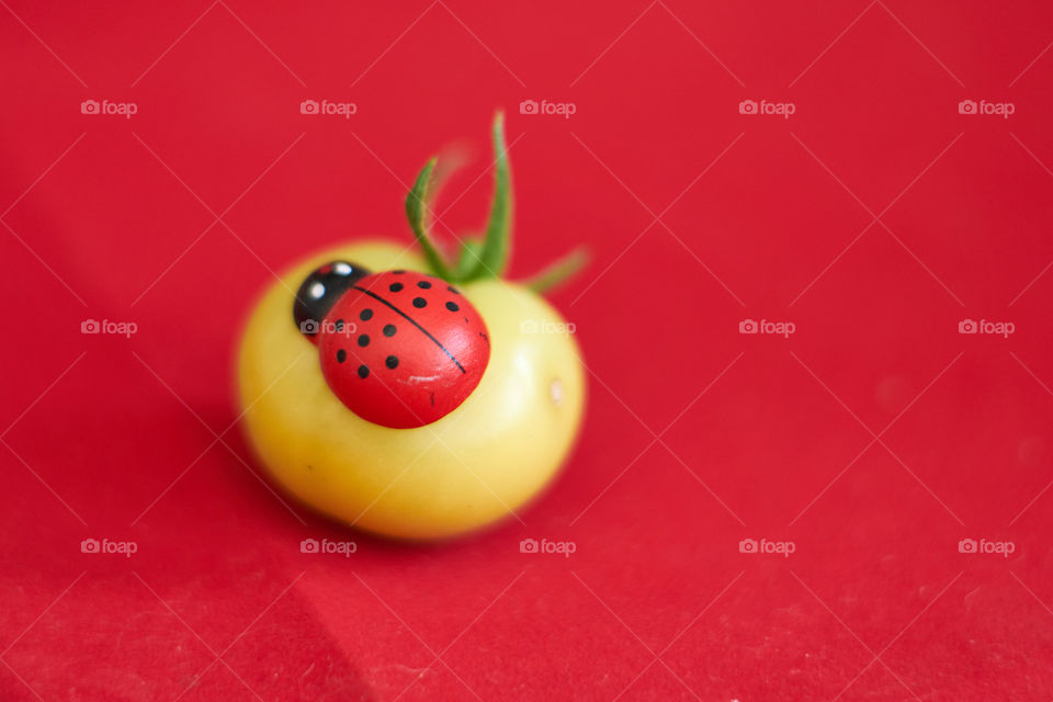 Ladybird and tomatoe