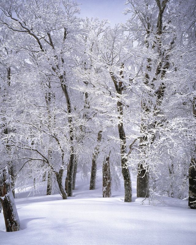 winter