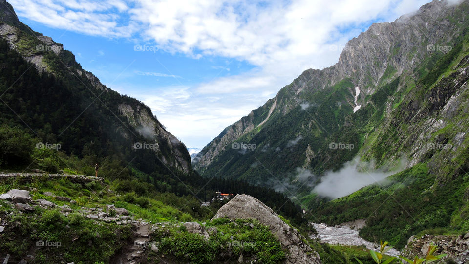 Valley of Flowers