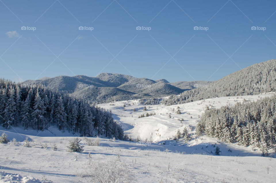 Winter landscape