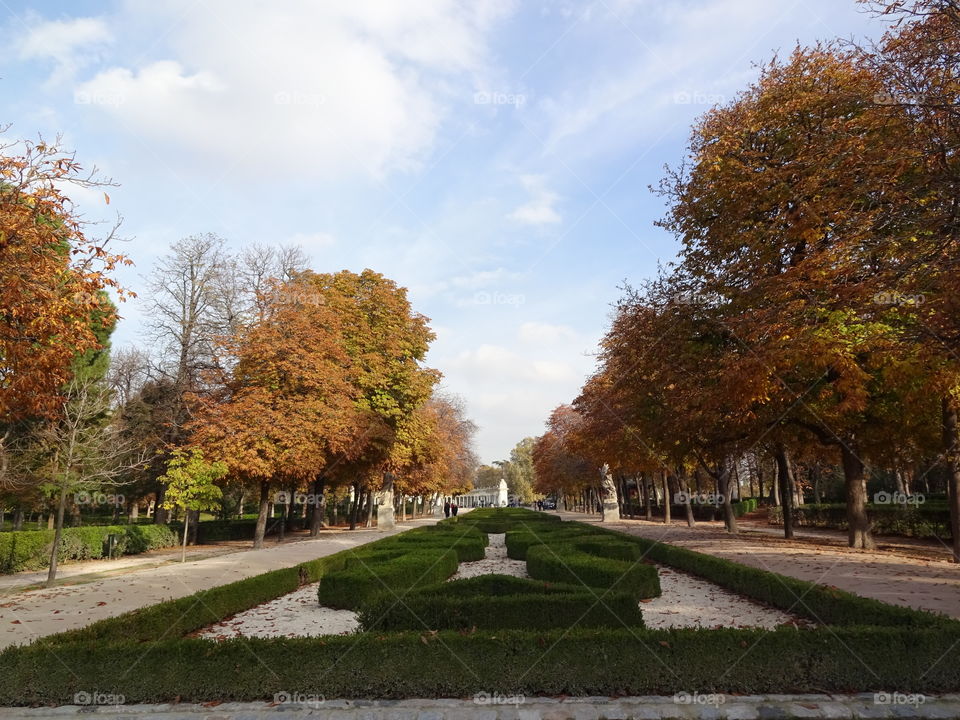 Autumn in Madrid