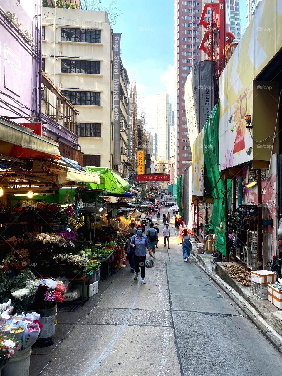 Lyndhurst Terrace - Traditional Market 