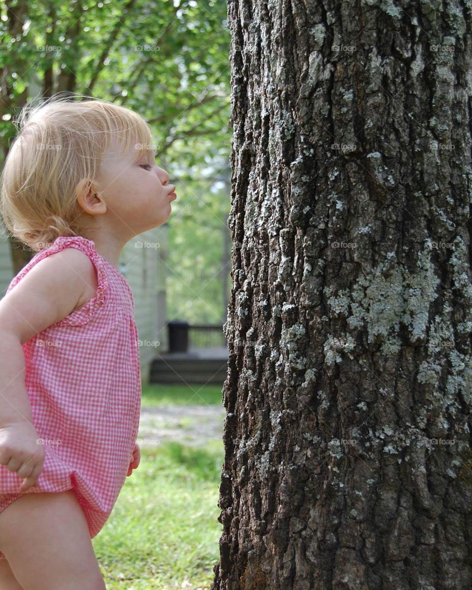 Tree Kisser