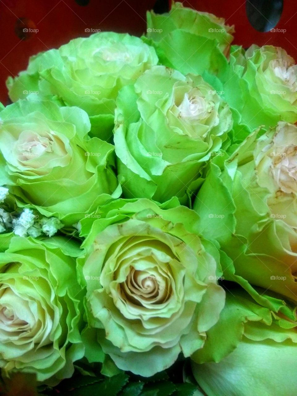 Green roses