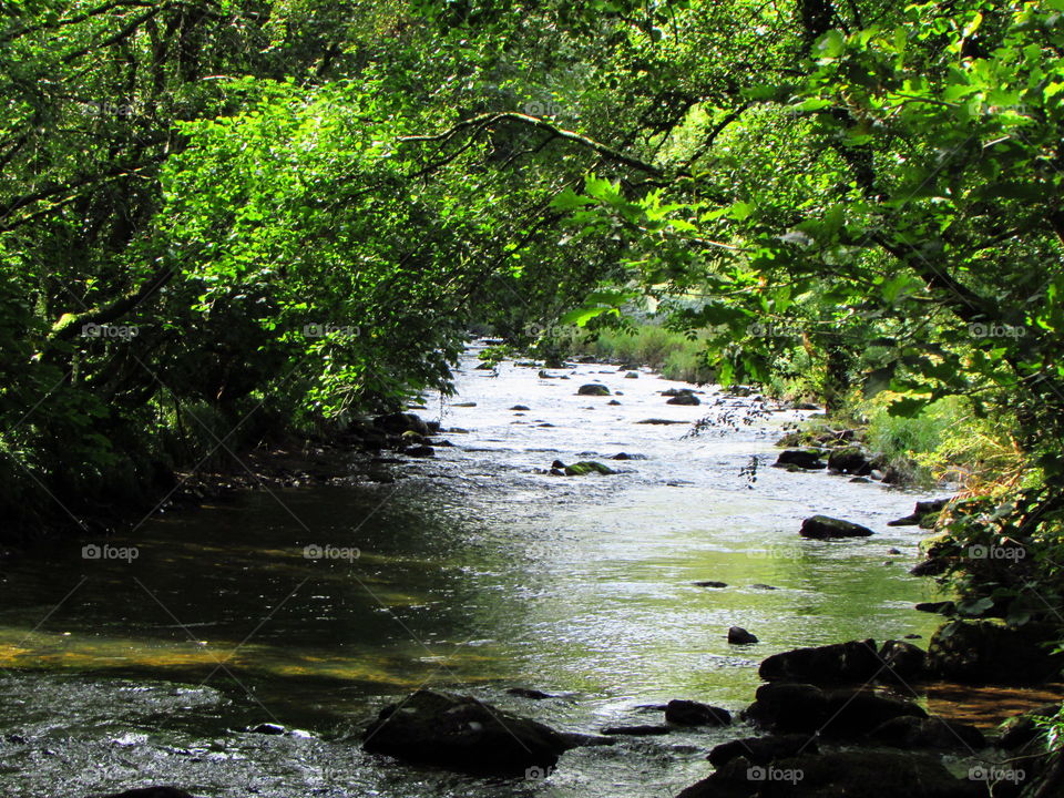 River Barle, Exmoor, UK