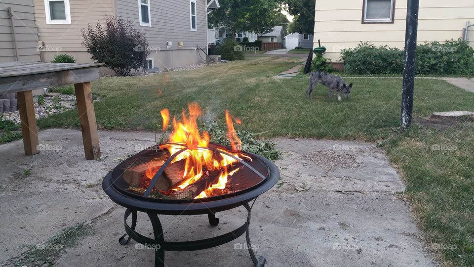 summer night fires