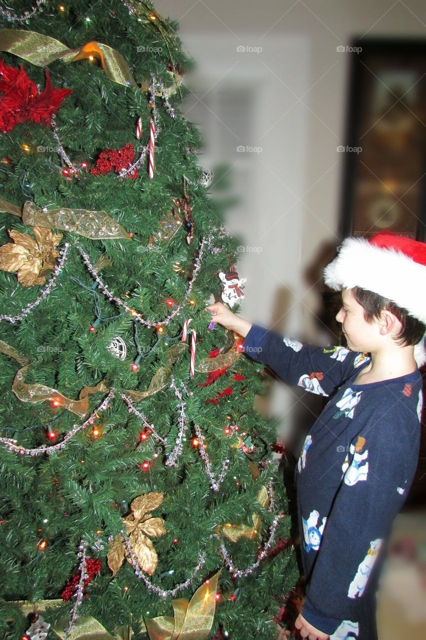 Boy decorating Christmas tree 