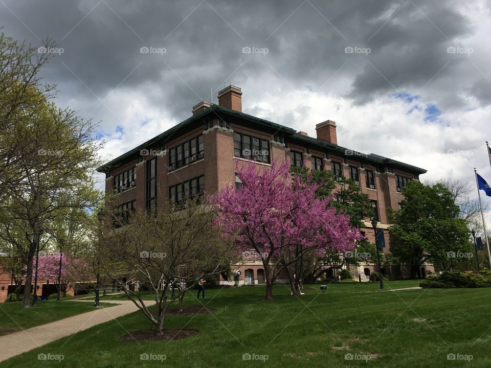  WCSU Campus in May