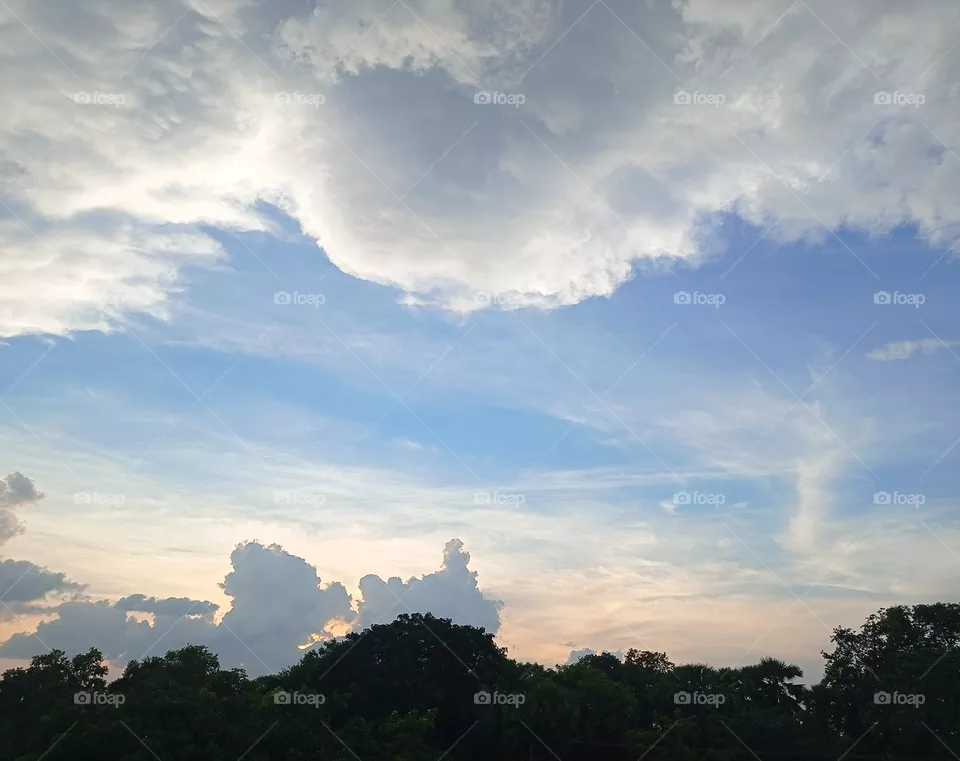 sky with forest