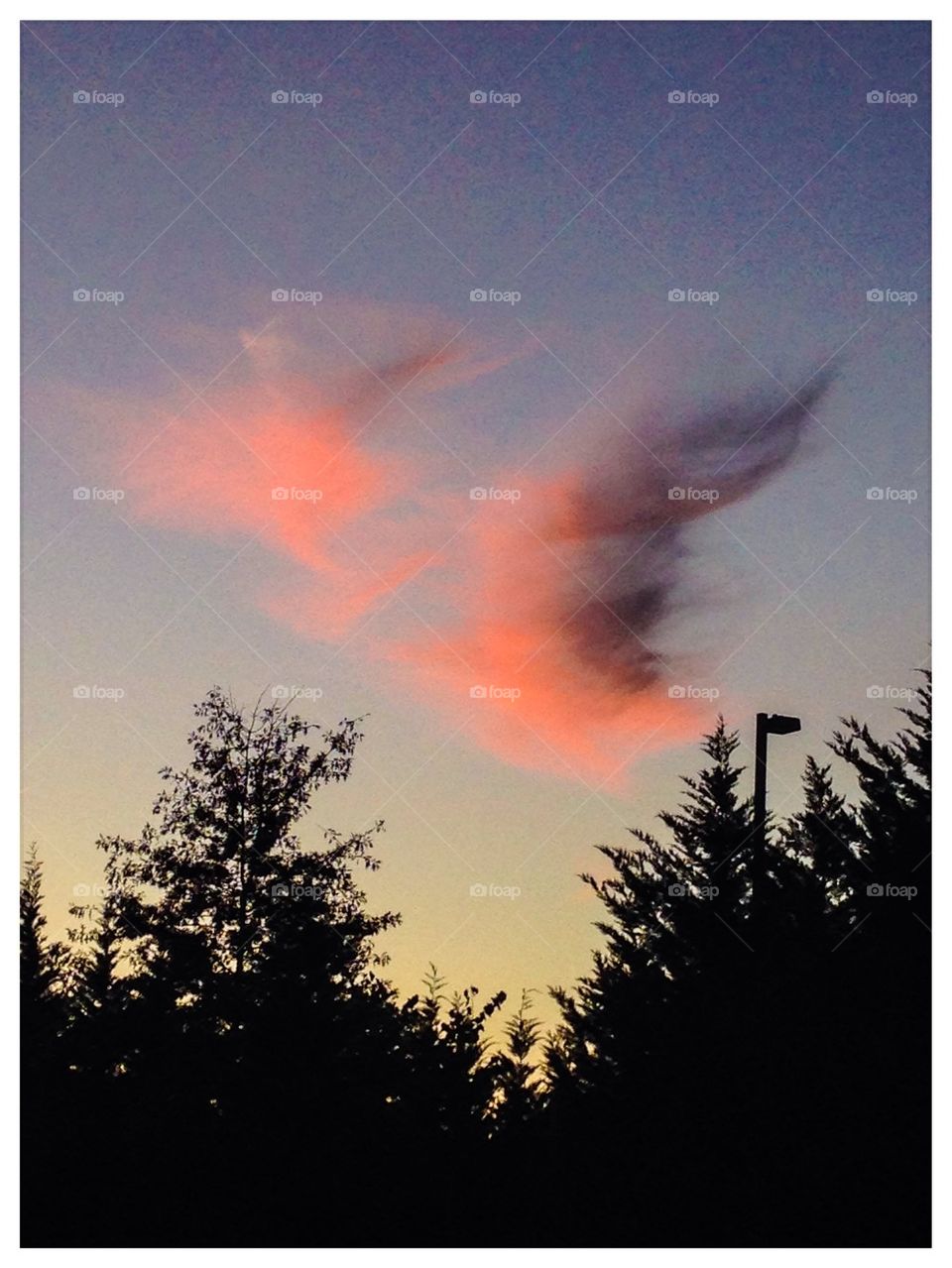 Sunset - cloud wings