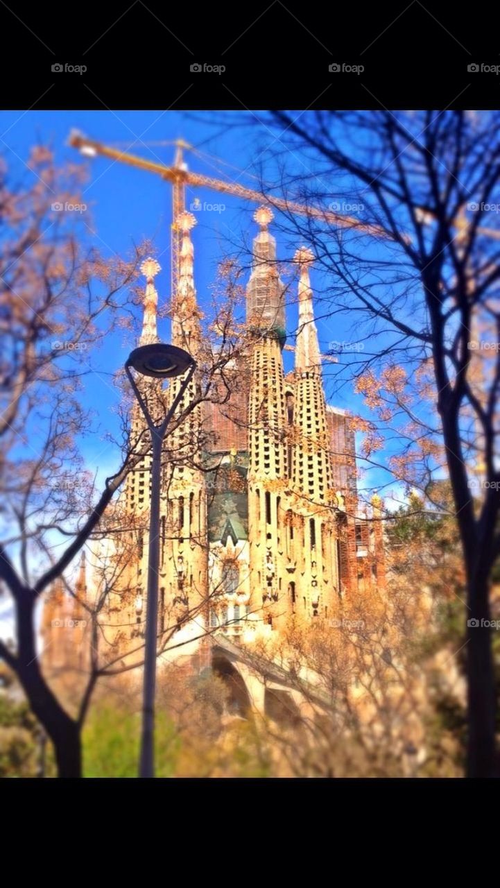 Cathedral in Barcelona 