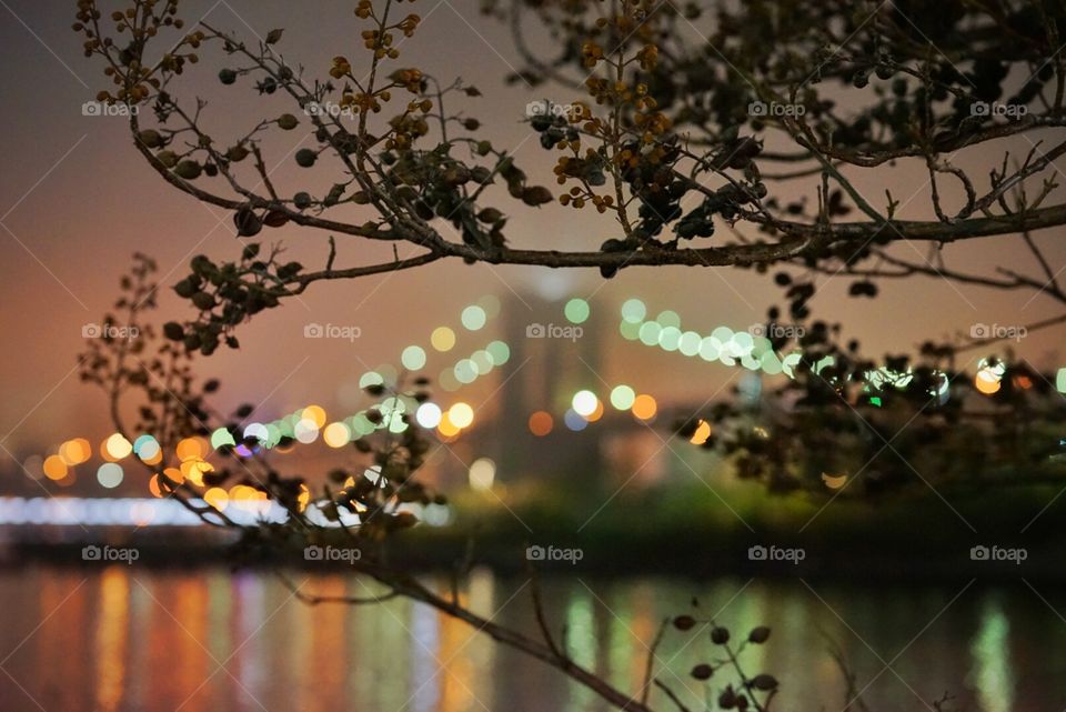 Spotted the Brooklyn bridge!