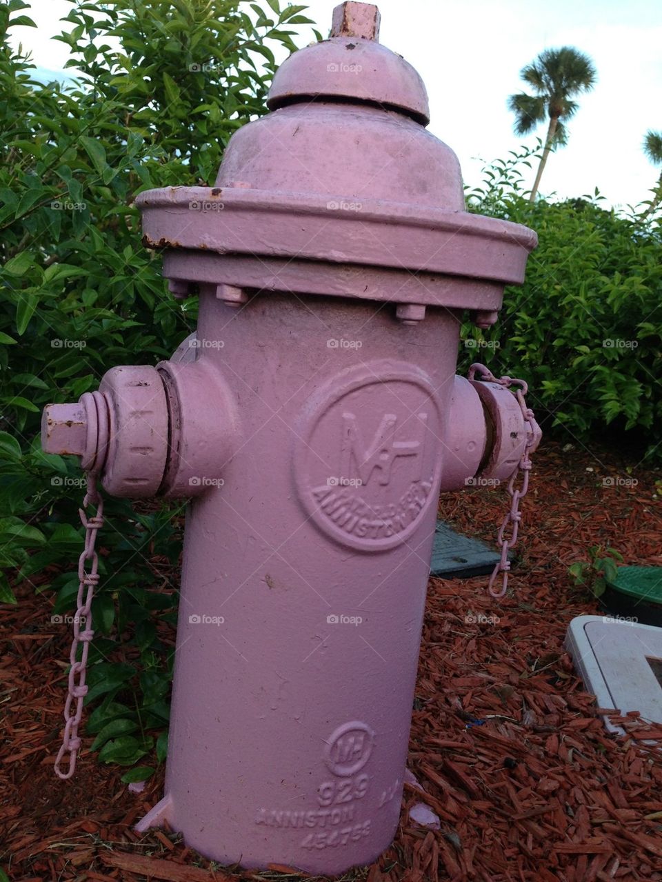 Hydrant