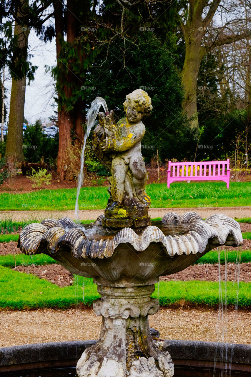 Fountain. Garden 