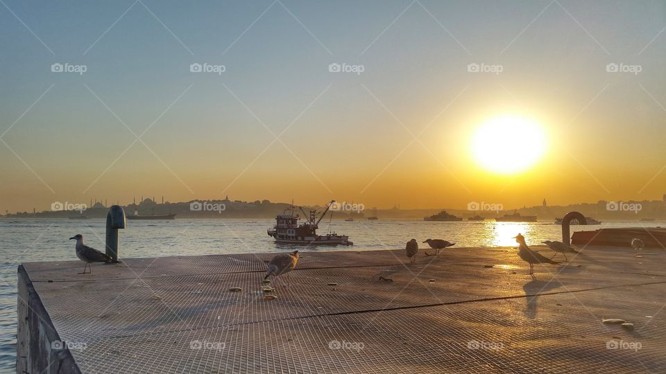 sunset at bosforo sea. seagulls near bosforo sea in uskadar, istambul