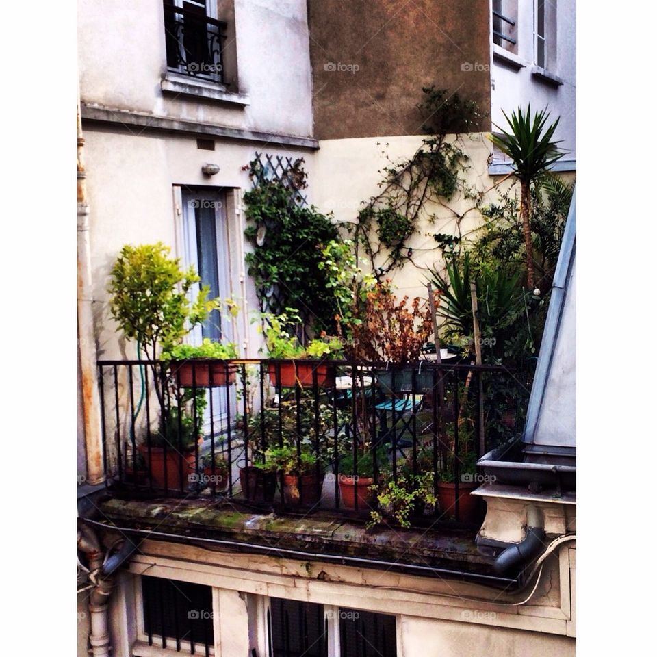 Terrace at Paris