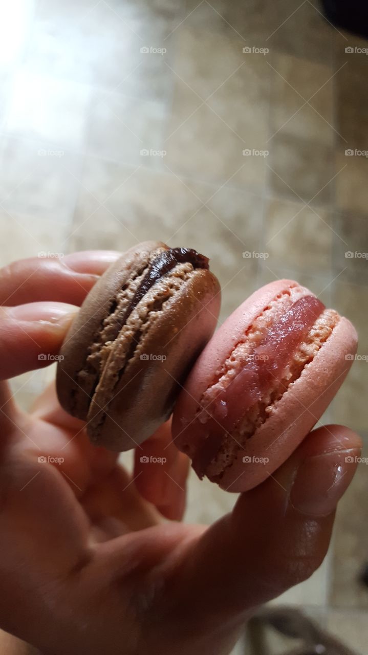 Human's hand holding macaroons