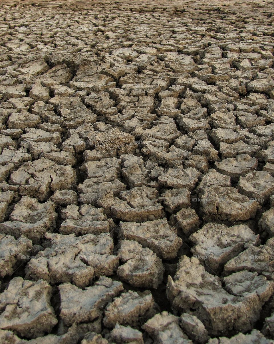 Dry, Texture, No Person, Desktop, Arid