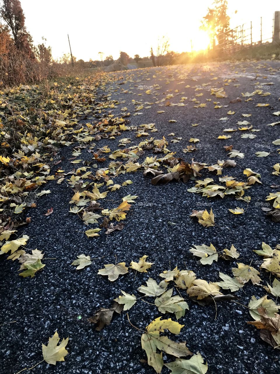 Cold Fall Morning Run