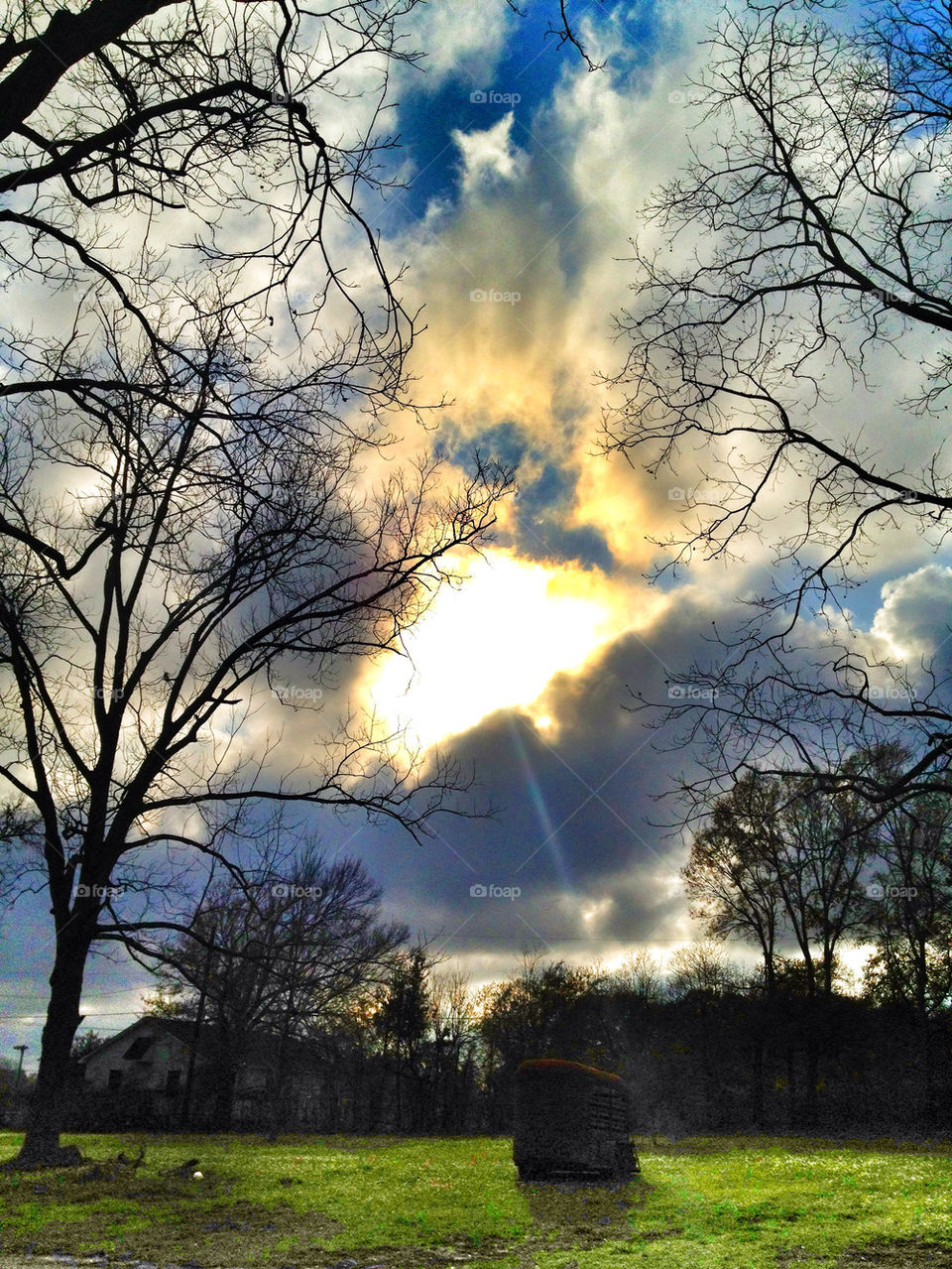sky nature photography tree by danielrichard