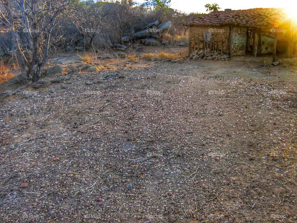agreste sertão nordeste seca