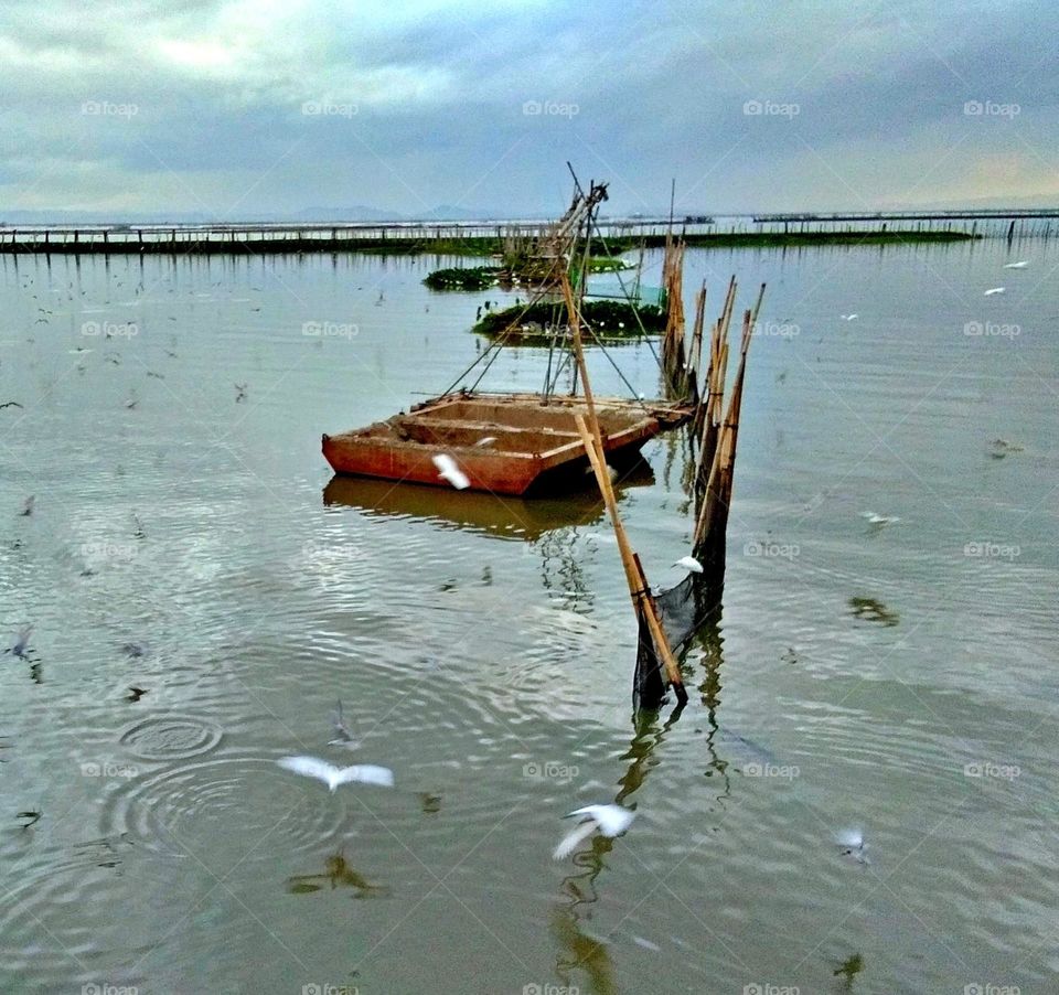 Life at the Lake Laguna