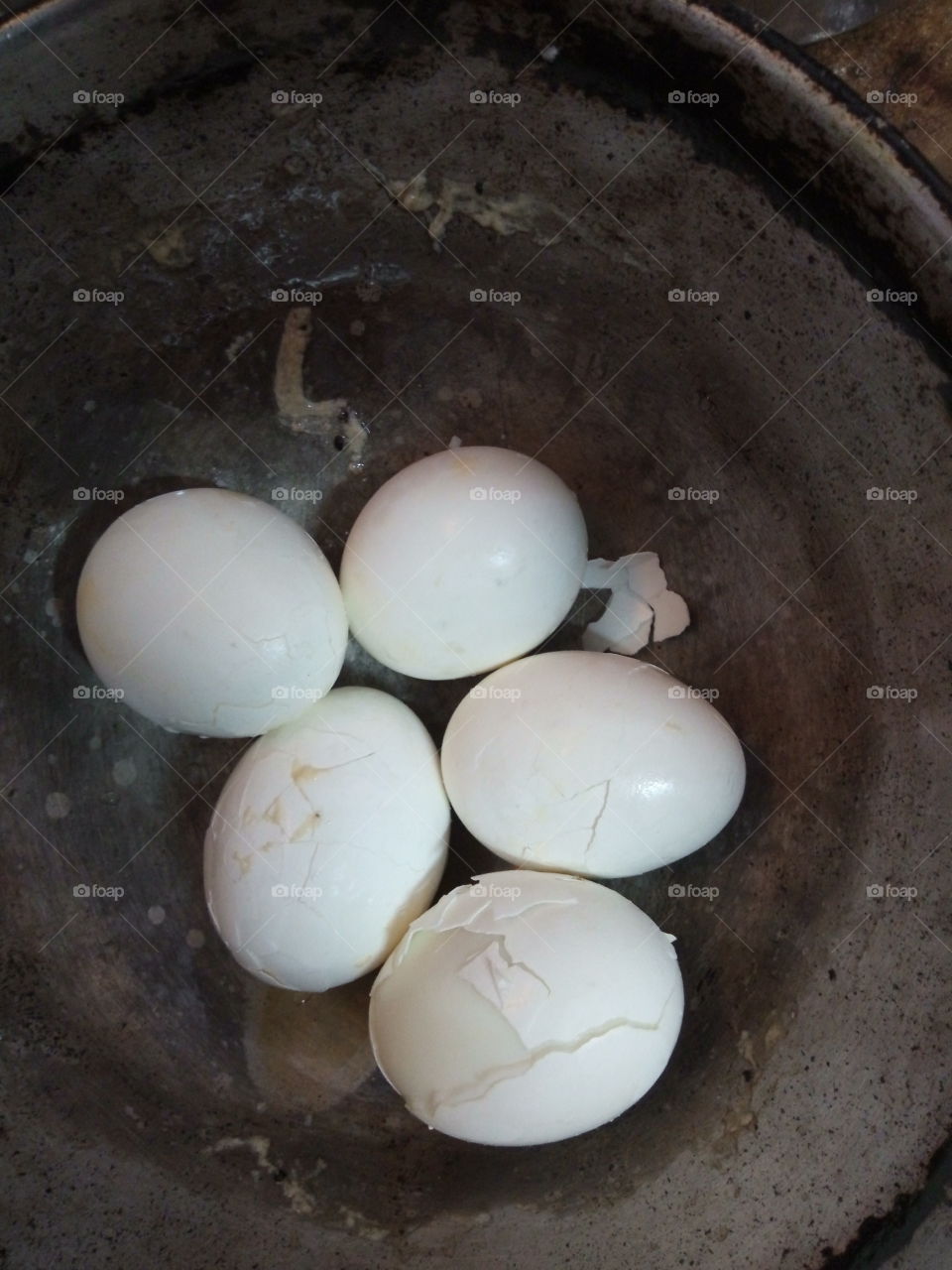 eggs