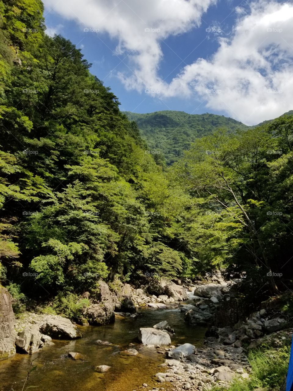 日本にも、まだある自然。高き空に向かい聳える山の峰々は緑を茂らせ、夏の谷間に冷たい空気を運ぶのだ。