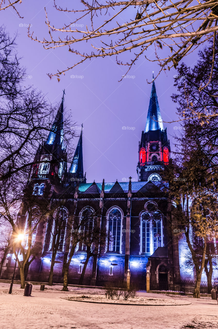 St. Olga and Elizabeth cathedral in Lviv city