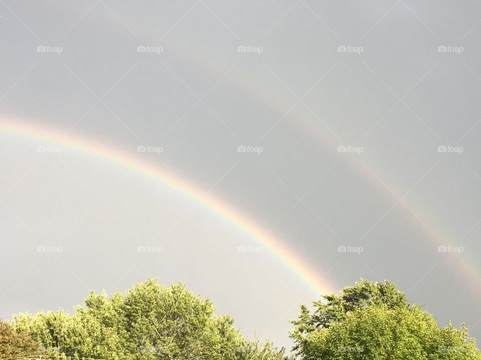 Double Rainbow 