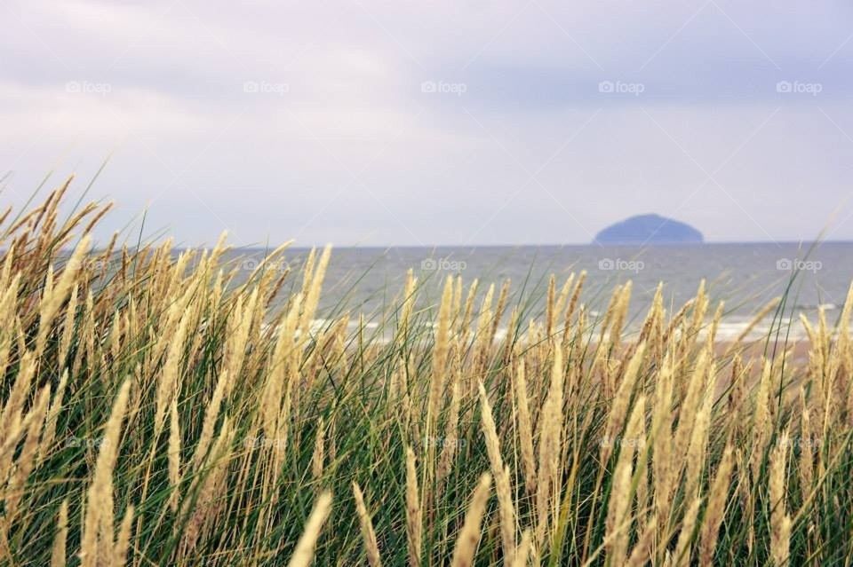 ayrshire tunbry ailsa craig by l.mcquater