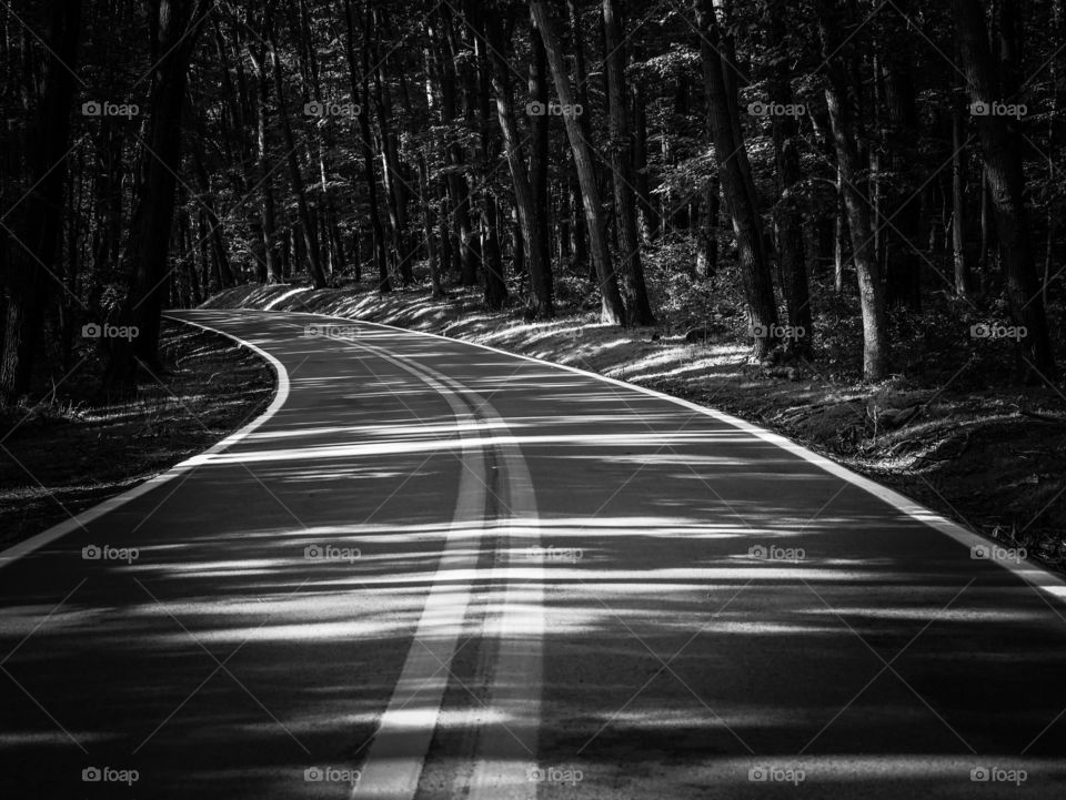 Road leading to Coopers Rock, West Virginia