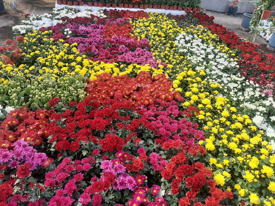 Please make me happy, I am poor, I need your help with support