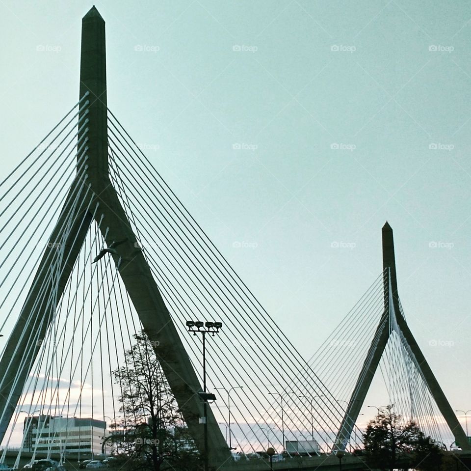 zakim bridge at sunset, boston. Zakim bridge at sunset in boston