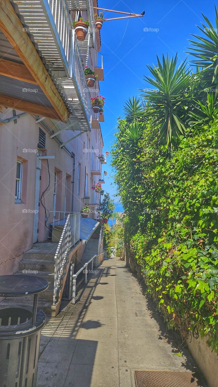 Southern California alley