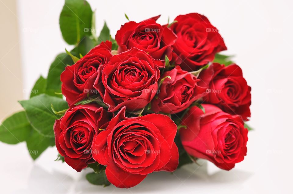 Red roses