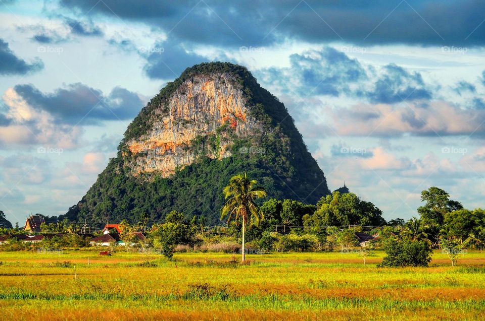 Mountain, rice fields view in southeast Asia.