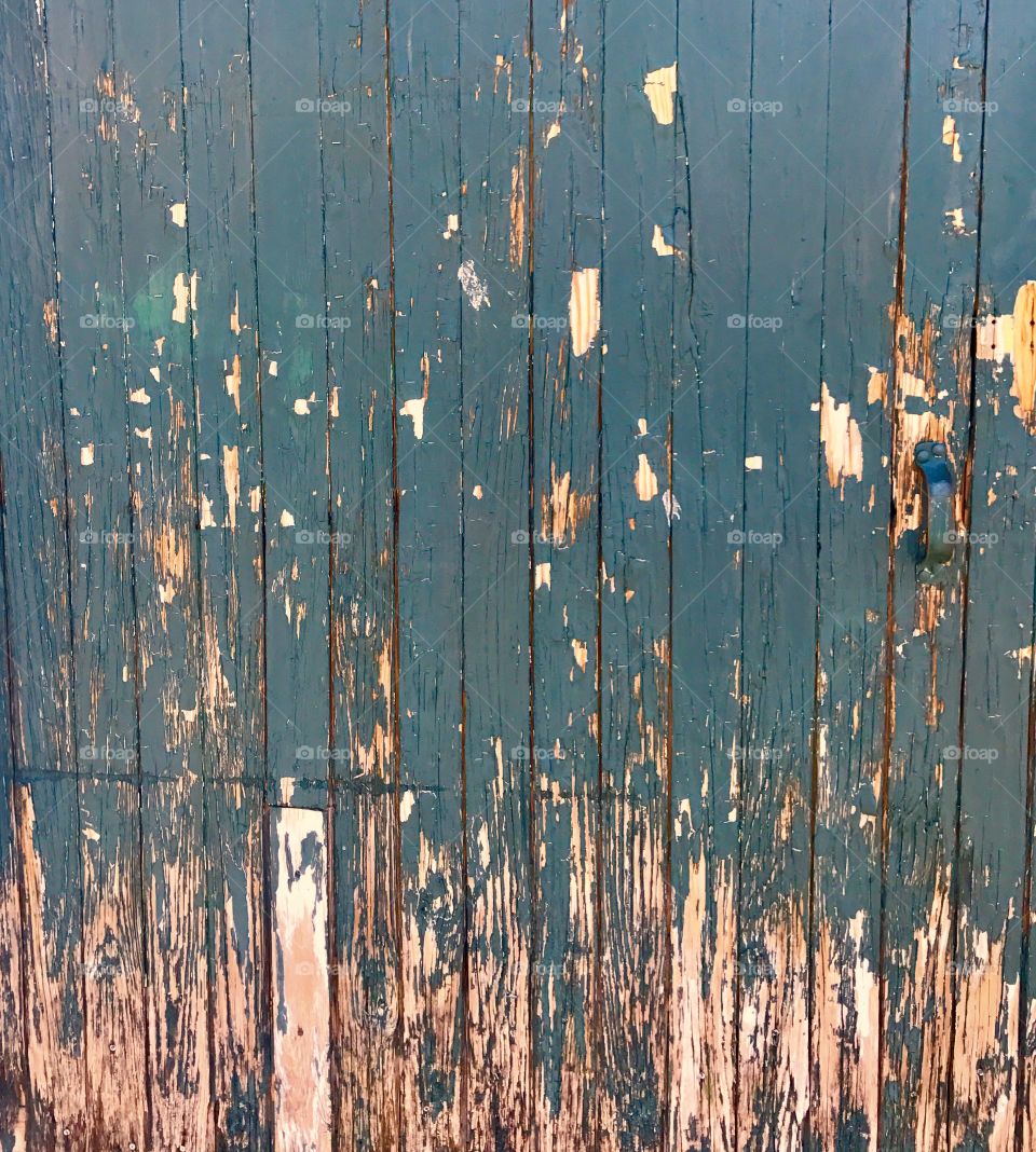 Green Wood Door