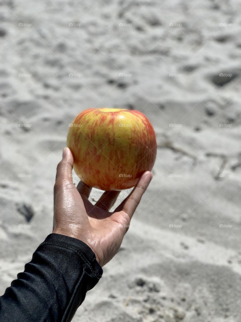 A person holding an apple crisp 