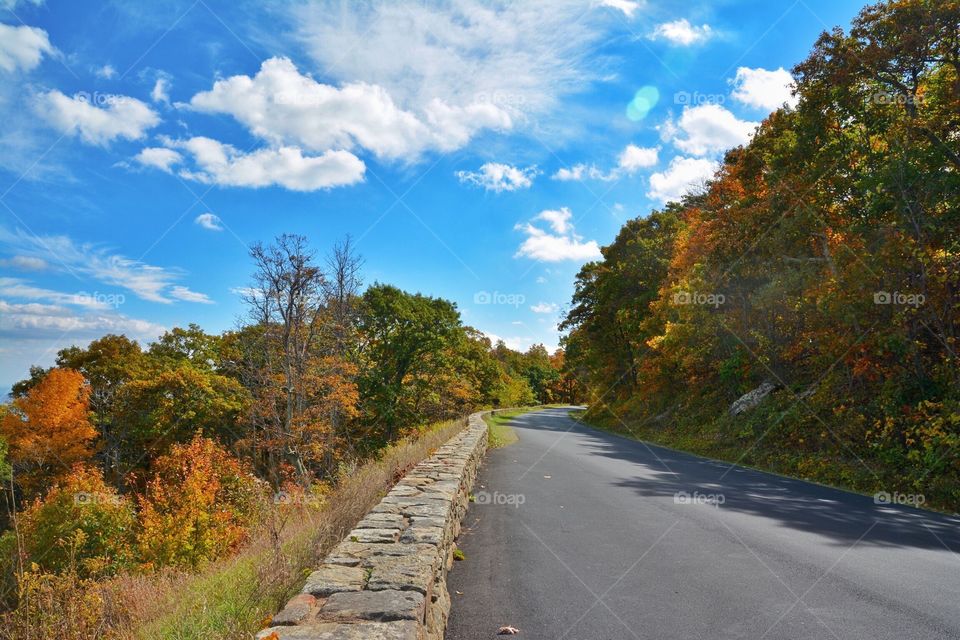 Autumn Road Trip